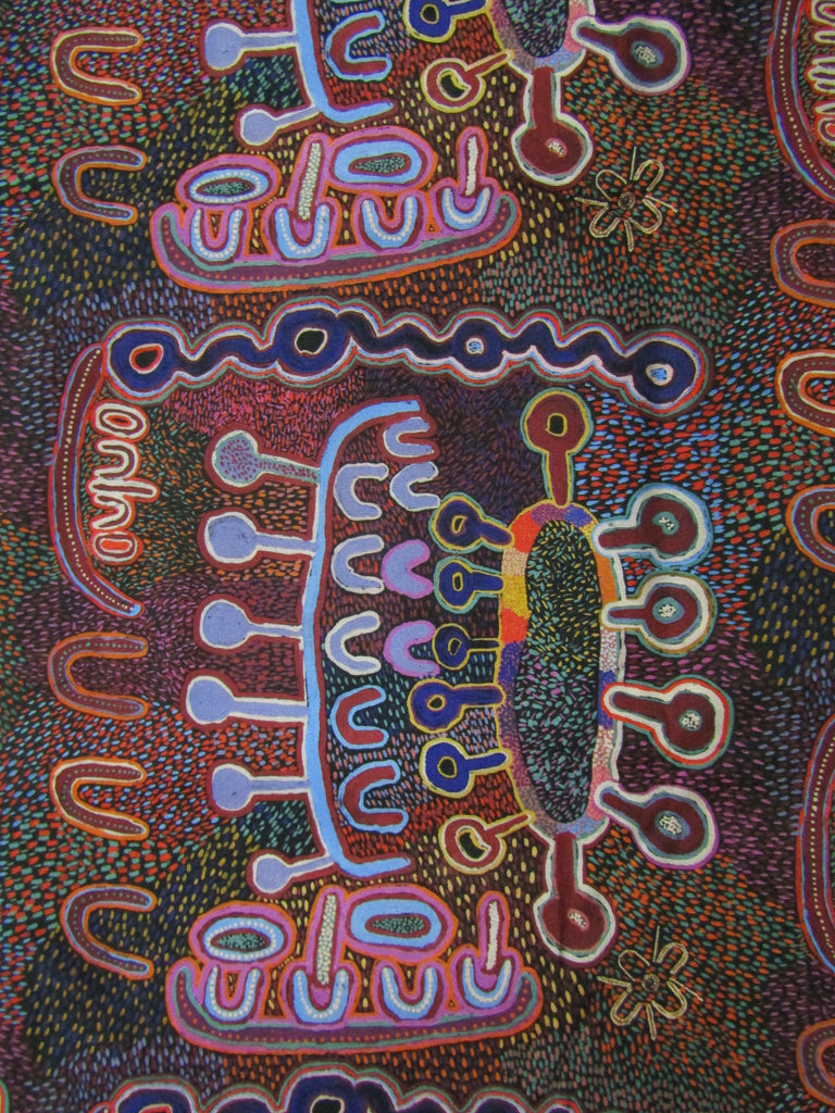 Shopping trolley capsule liner-Indigenous,water dreaming