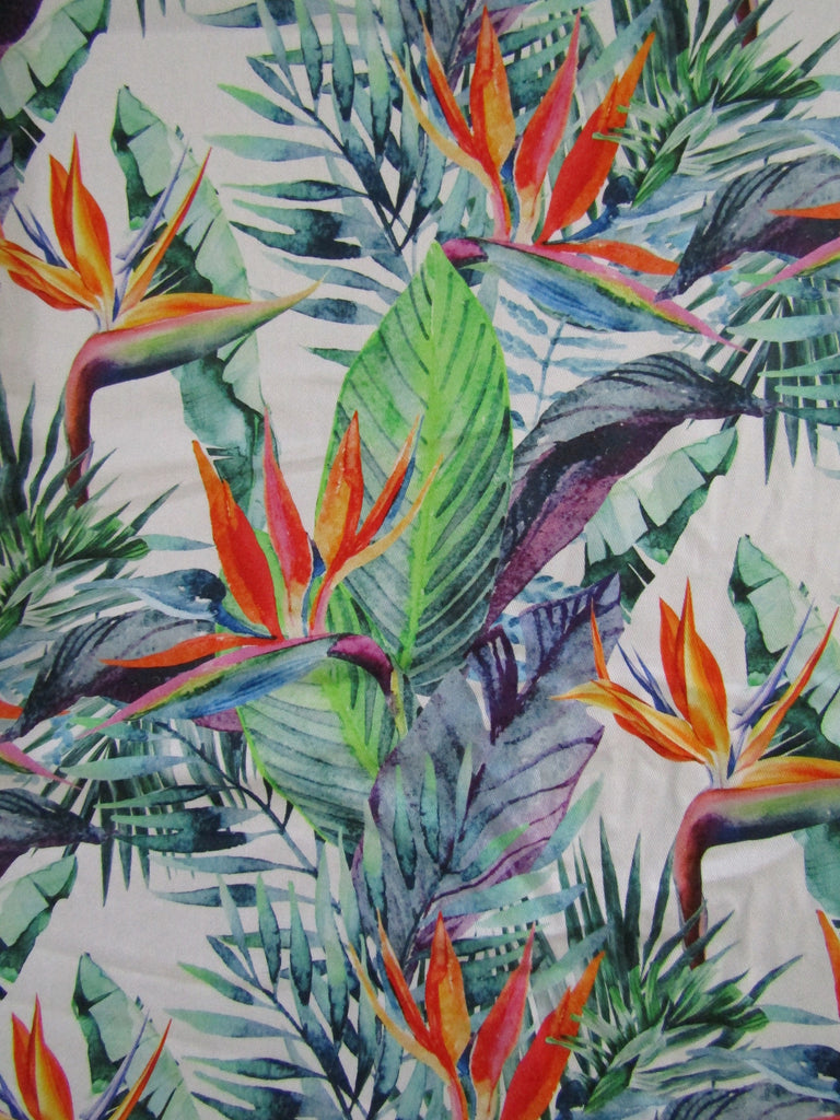 Pram belly bar cover-Bird of paradise flowers